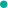 Spider Pool User Feedback: Driving Improvements